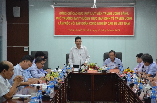 Sự phát triển vững mạnh của VRG có ý nghĩa quan trọng